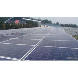 金鼎盛世 以服務(wù)至上的理念，引領(lǐng)太陽(yáng)能發(fā)電行業(yè)新篇章